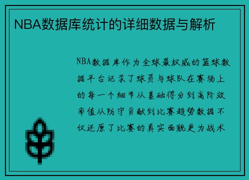 NBA数据库统计的详细数据与解析